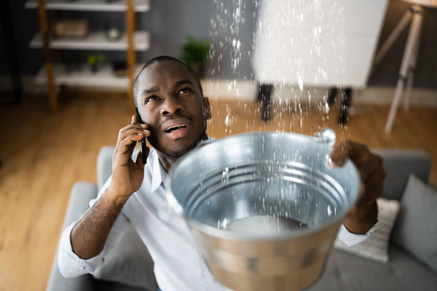 Best Water damage contractors near me  in Adelino, NM