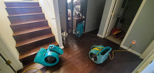 , NM Water damage restoration Company