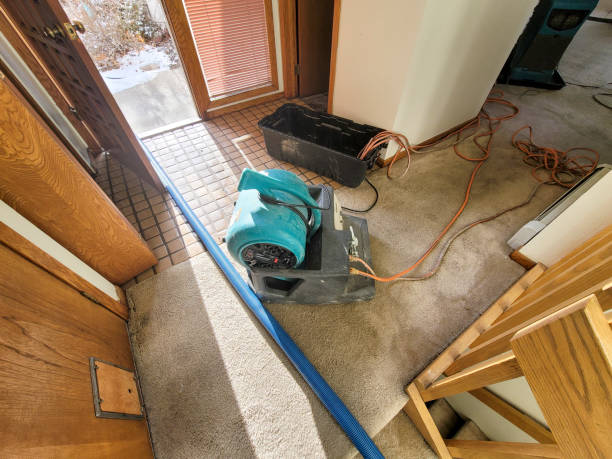 Professional Water damage restoration in NM