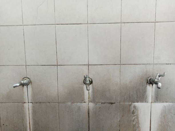 Best Fire Damage Restoration  in Adelino, NM