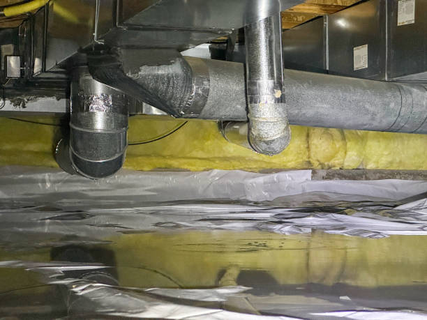 Best Water damage restoration near me  in Adelino, NM
