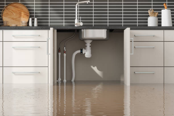 Best Basement water damage restoration  in Adelino, NM