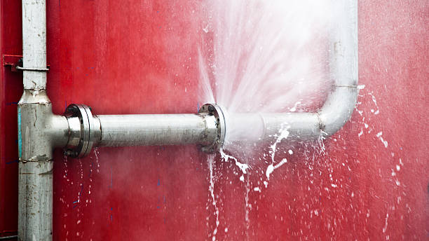 Best Mold removal after water damage  in Adelino, NM